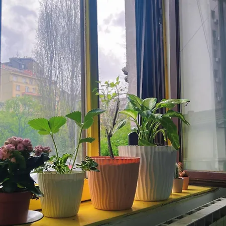 Oneone Eleven * Belgrado